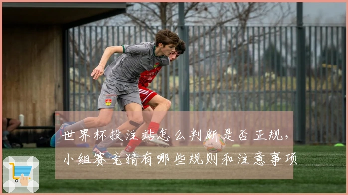 世界杯投注站怎么判断是否正规，小组赛竞猜有哪些规则和注意事项