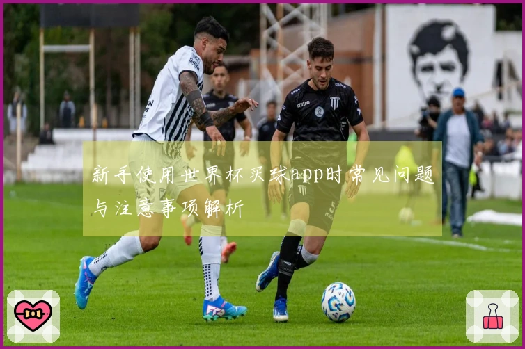 新手使用世界杯买球app时常见问题与注意事项解析