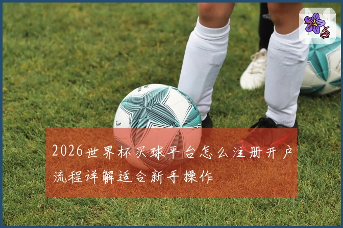 2026世界杯买球平台怎么注册开户流程详解适合新手操作